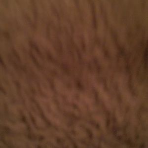 Meet your Posher, Pooke